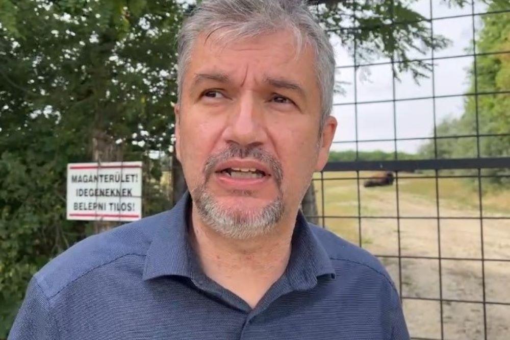 Kiszúrták Hadházy autójának a kerekeit Hatvanpusztánál, ahol zebrák helyett most egy bölényt talált