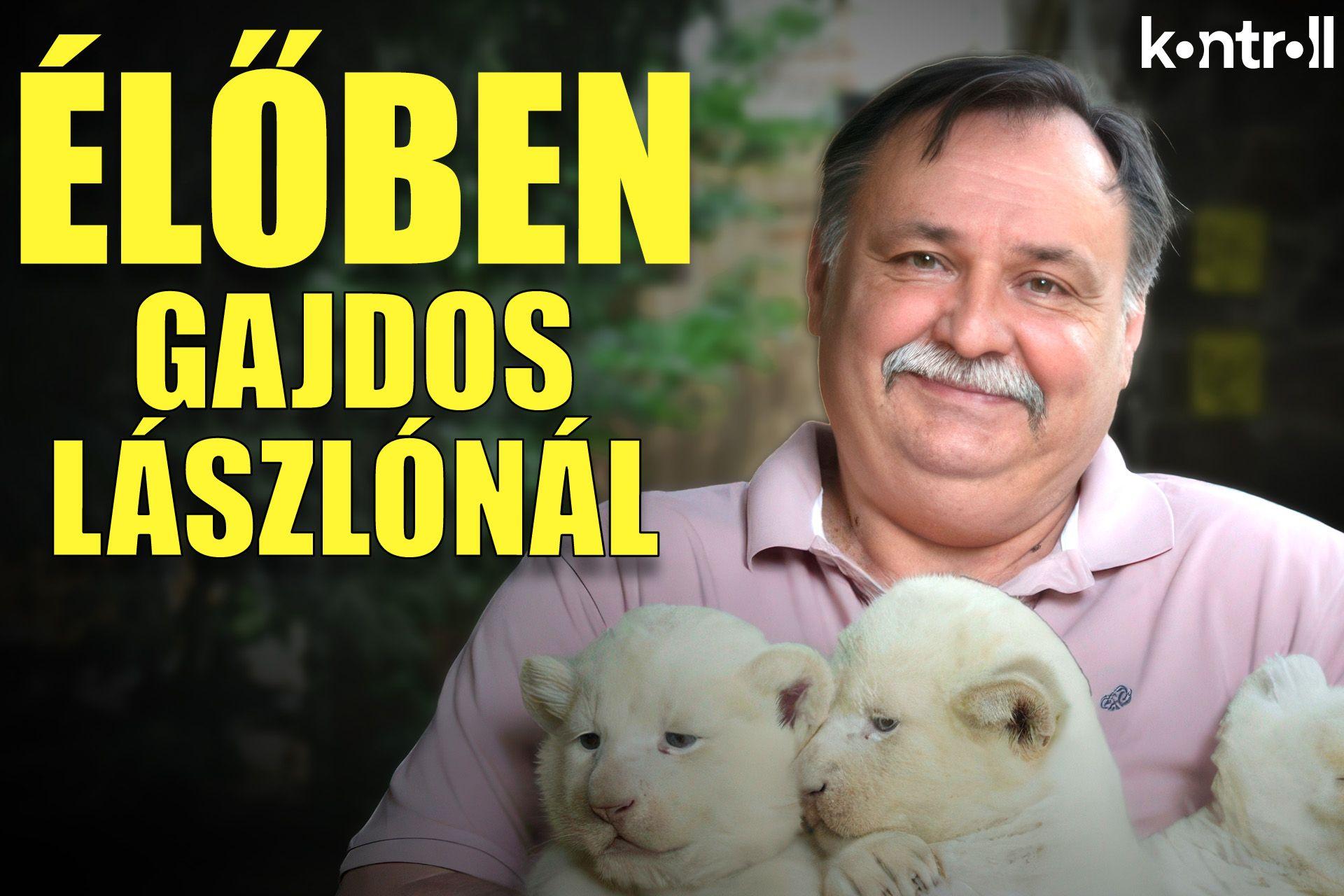 Élőben Gajdos László, a TISZA Párt képviselőjelöltje 