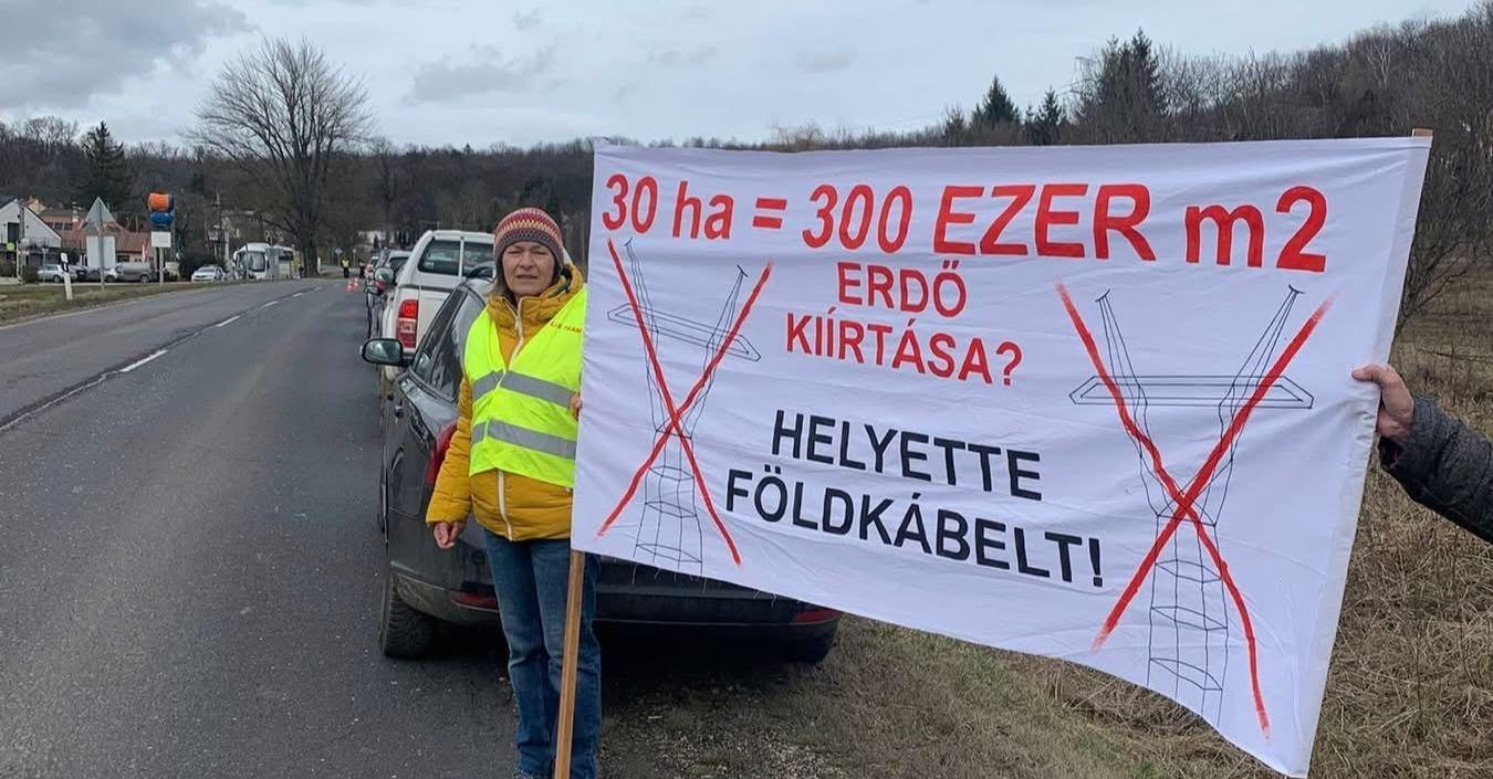 Jogszabályba csomagolt tarvágás a Bakonyban, Eplényben és környékén