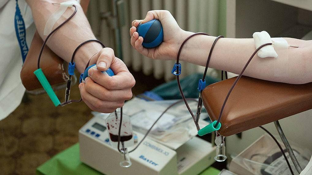 Hiába a bíróság döntése: Bayer Zsolt felesége képtelen lejönni a zsíros vérplazmabizniszről