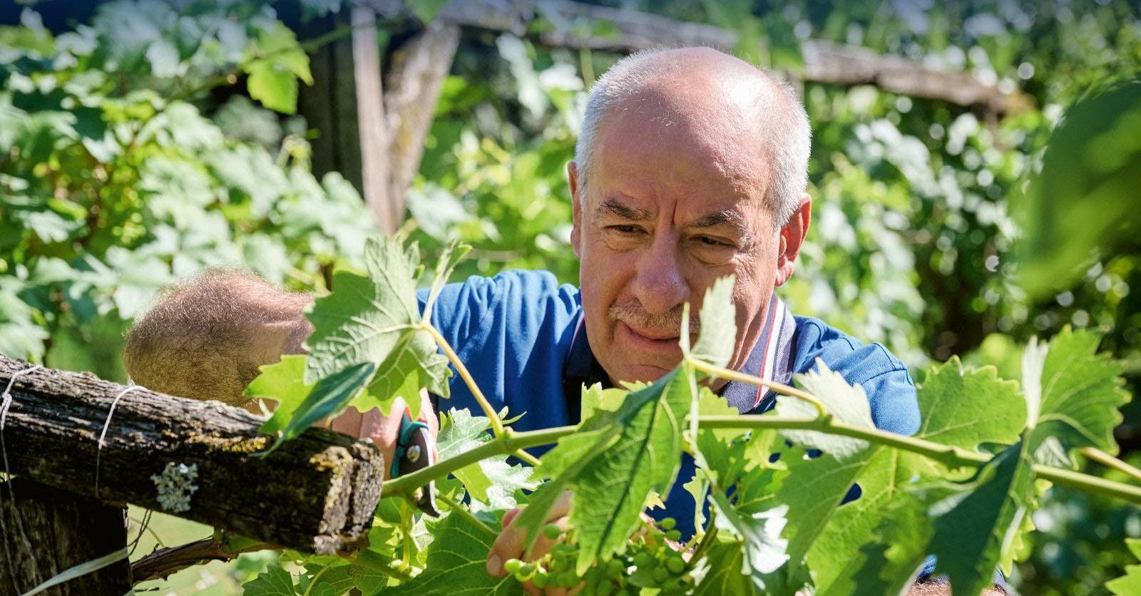 Egy 11 éves kisfiú állampolgárságát vonta vissza Sulyok Tamás
