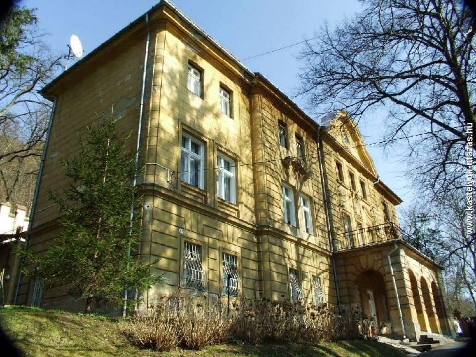 A MÁV szerint nem kastélymutyi, hanem egy használhatatlan üdülő eladása zajlik Dubicsányban