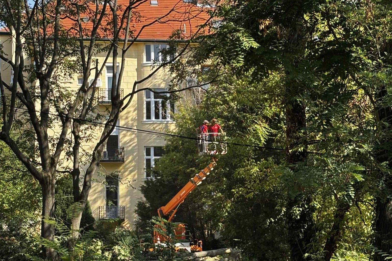 Fairtásba kezdett Orbán barátjának cége a Gellérthegyen 