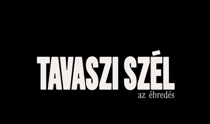 A kormányközeli Digitális Demokráciafejlesztési Ügynökség több száz jegyet vásárolt fel a Magyar-Péter filmre